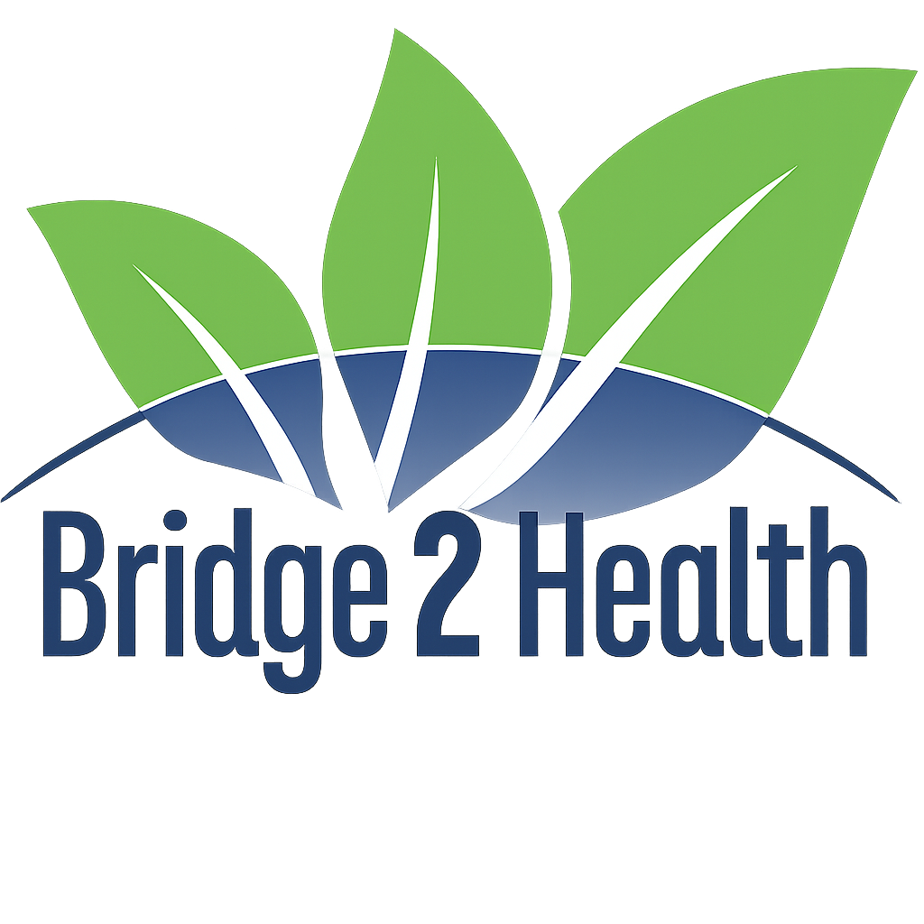 Bridge2Health