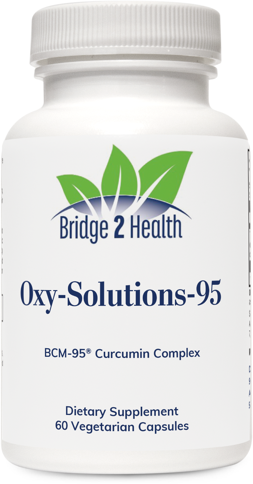 Oxy Solutions 95 – Turmeric Curcumin Supplement