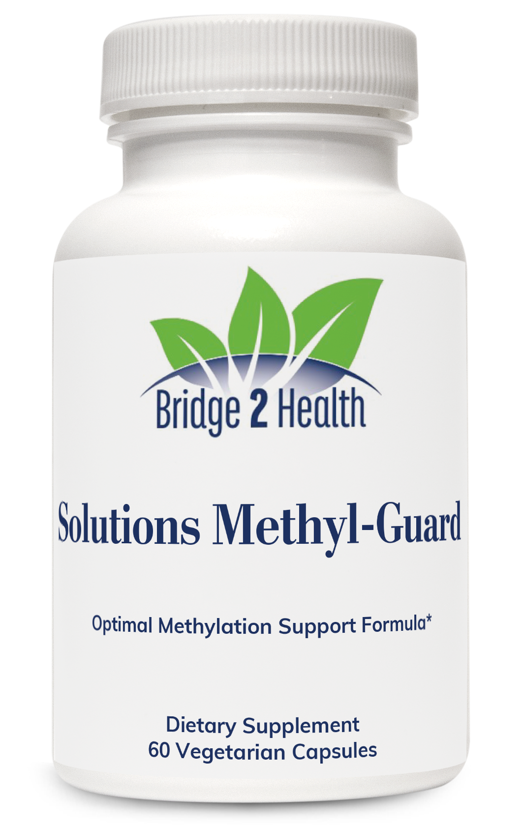 Solutions Methyl Guard – Folate and B-Vitamin Formula, 60 Capsules